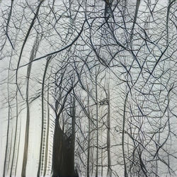 Imaging cities29