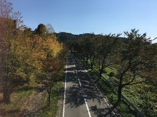 11月に入って