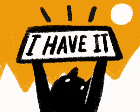 cat1.gif