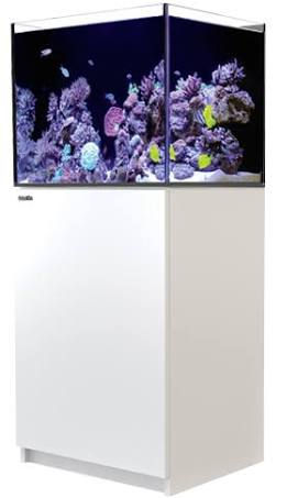 Red Sea Reefer 170