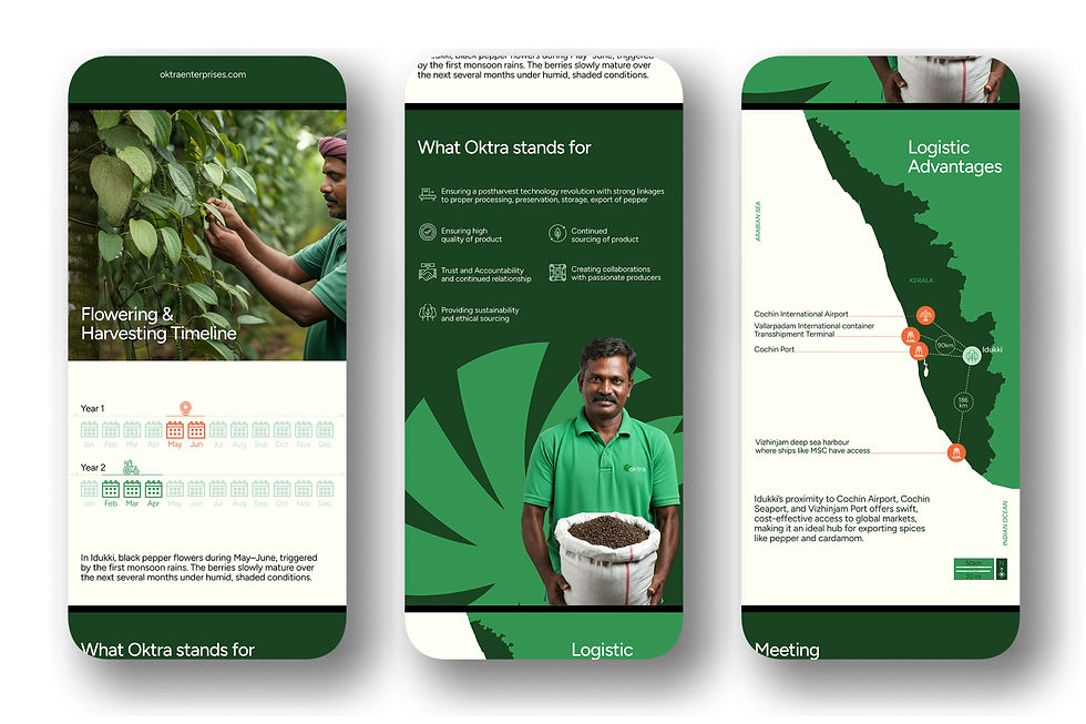 Mobile brochure mockups presenting Oktra Enterprises’ flowering and harvesting timeline, brand values, and logistics advantages for black pepper export from Kerala.