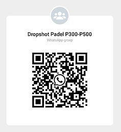 P300P500 QR Code.jpeg