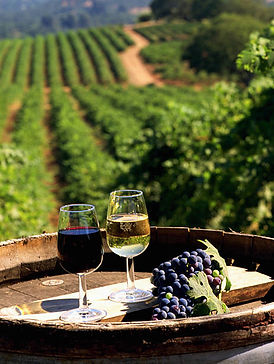 2 glasses of wine with vineyard in background.jpg
