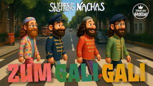 TYH Nation Ft. Shlepping Nachas - Zum Gali Gali