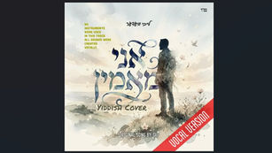 Leiby Wieder - Ani Maamin (Yiddish Cover - Vocal)