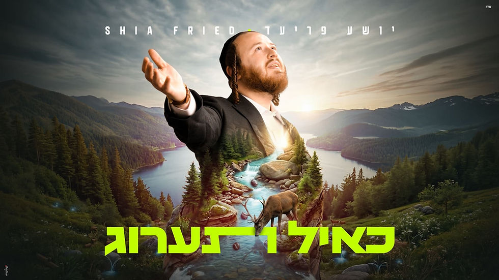 Shia Fried - K'ayol Ta'arog