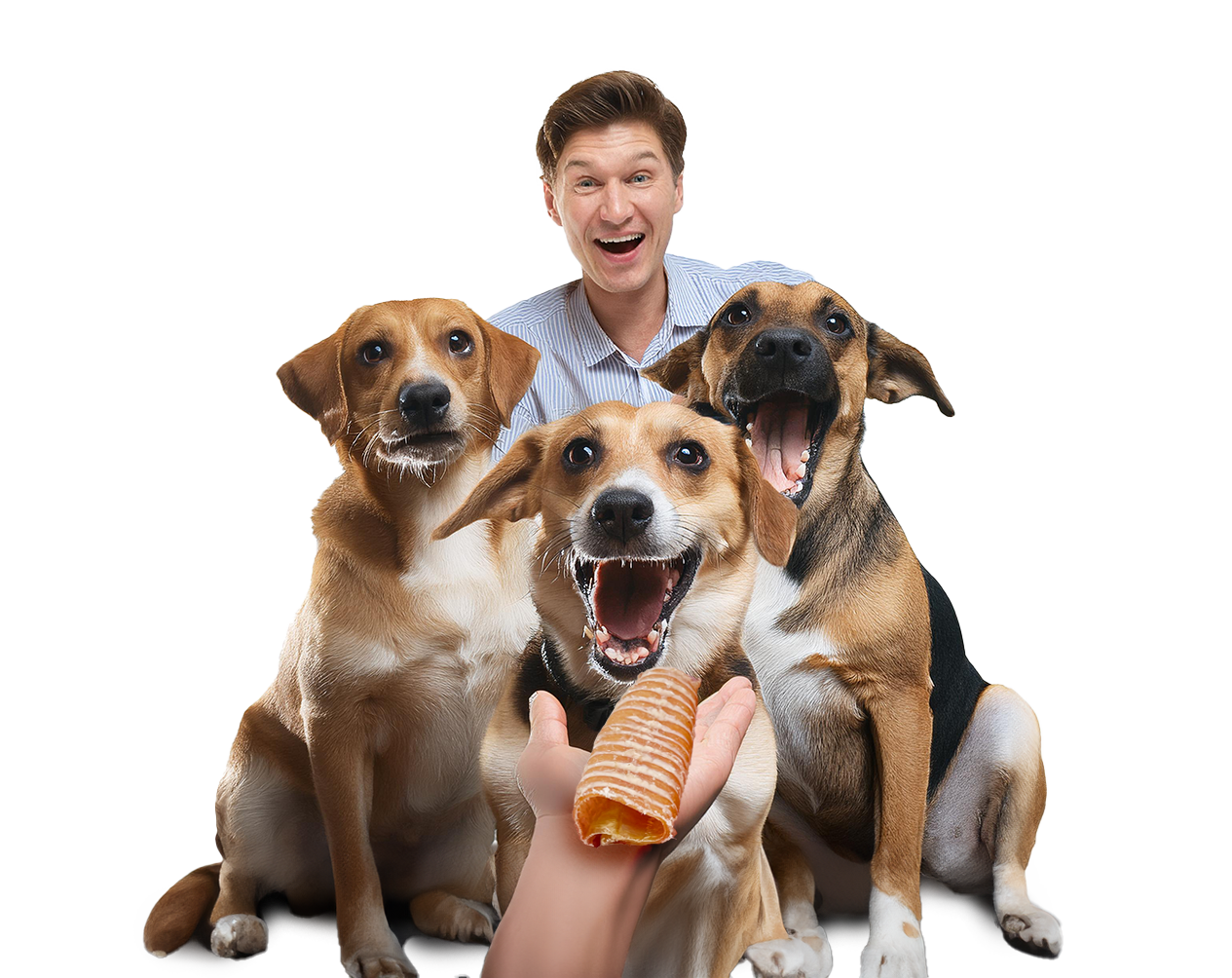 Firefly 3 mutlu köpek 1 adam ödül maması uzatıyoruzak açıdan çekim arka plan şeffaf 856721