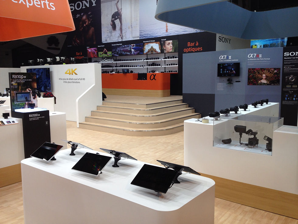 SONY 2015 2