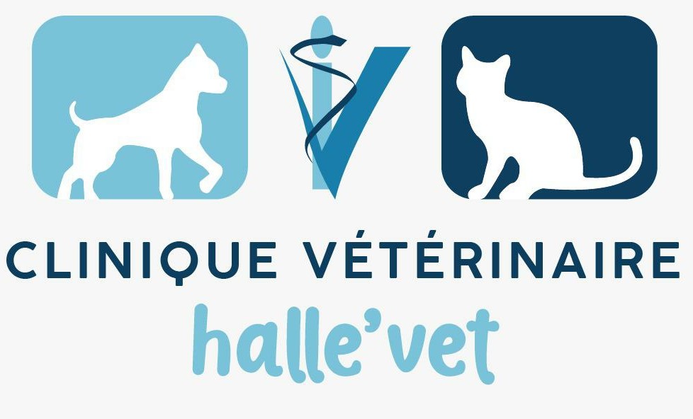 Clinique Vétérinaire Halle'Vet Clinique Vétérinaire Halle'Vet