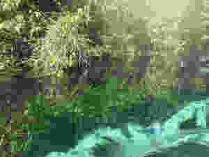 Rio Sucuri