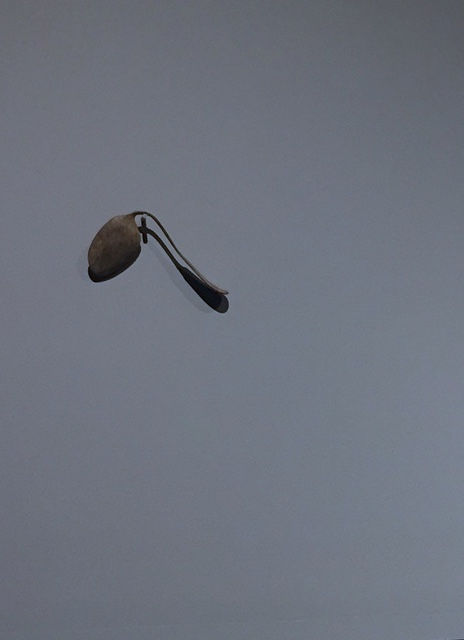 Spoon .jpeg