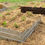 Thumbnail: Cabbage Patch Raised Garden Bed- Galvanized