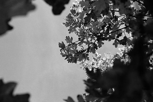 pexels-anna-holodna-14455360_edited_edited.jpg