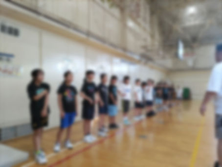 だいぶ増えました。