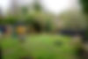 DSC02319.JPG