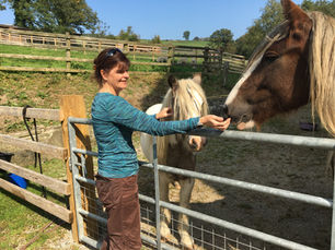 Sam with a Shetland Pony and Chestnut Horse