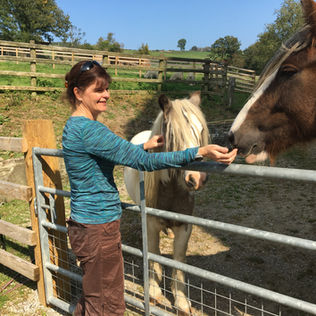 Sam with a Shetland Pony and Chestnut Horse