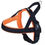 Thumbnail: Nobby Harness