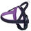 Thumbnail: Nobby Harness
