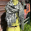 Thumbnail: Large Sarong Scarf