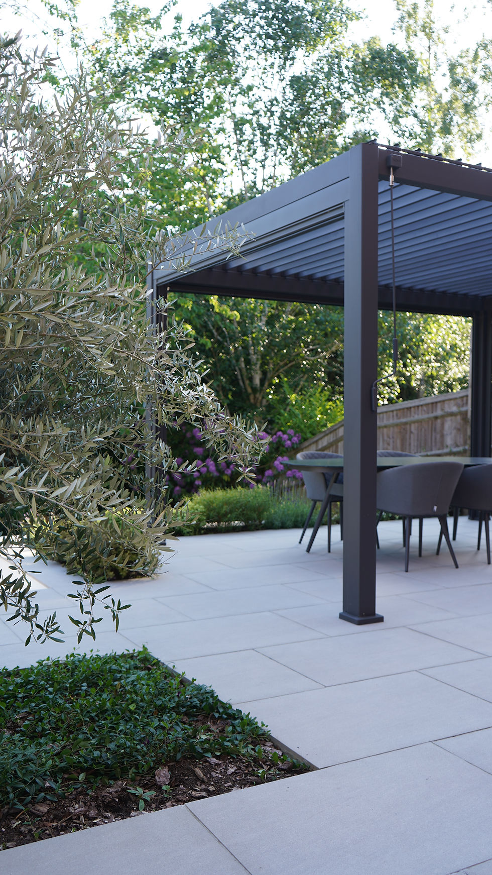 Photo showing Olive Tree & Aluminium pergola with porcelain patio