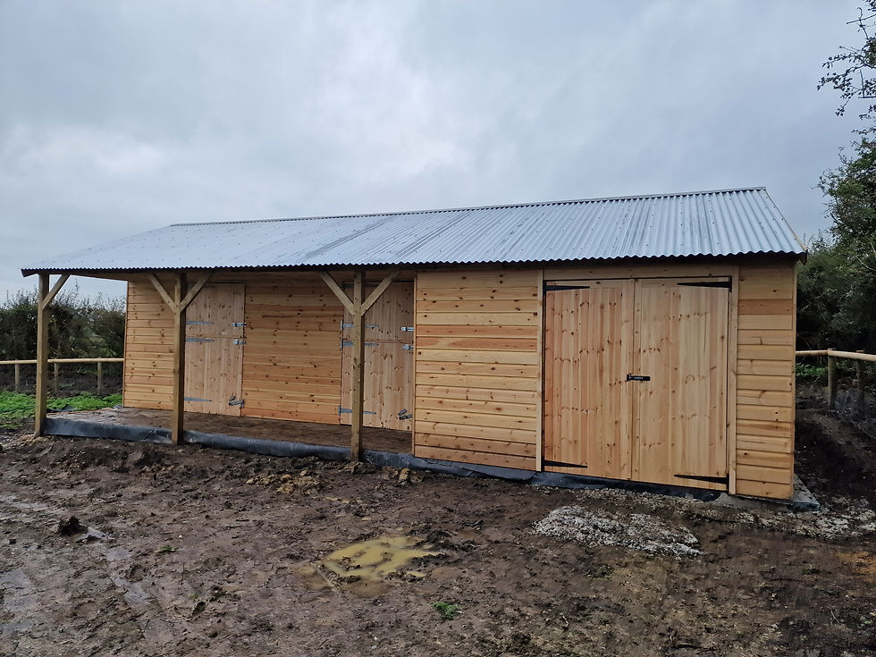 Two large timber stables with a covered outdoor area for tacking up