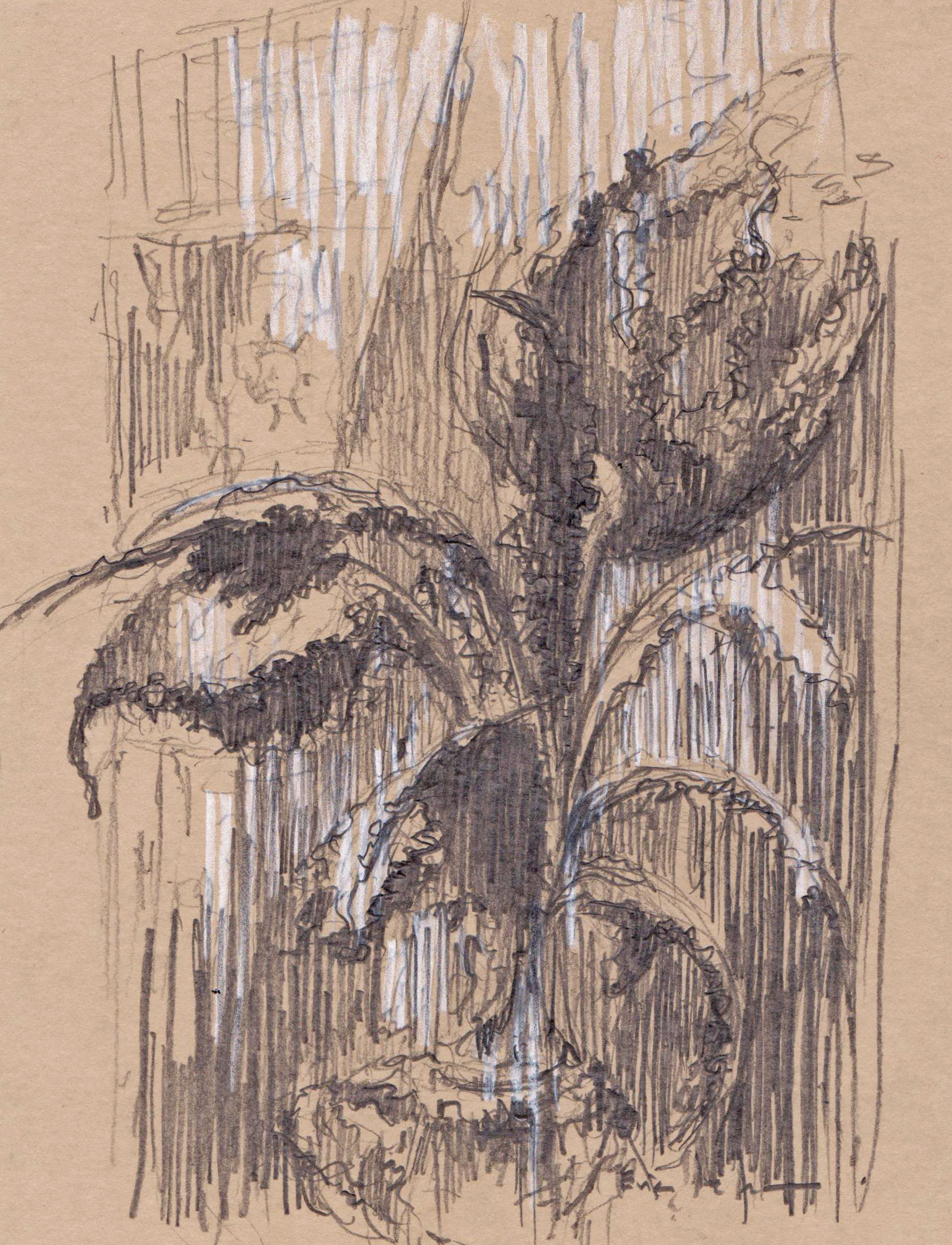 Fleur /JF Buisson