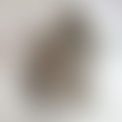 Skimmer under ytan: Labradorit