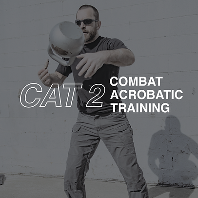 cat2-01.png