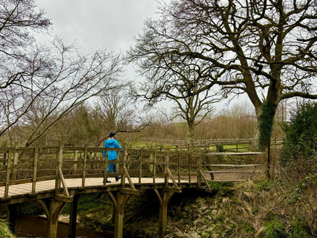 "The WHAT stick bridge??"