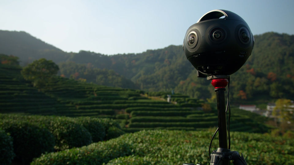 Titan Tea Fields.jpg