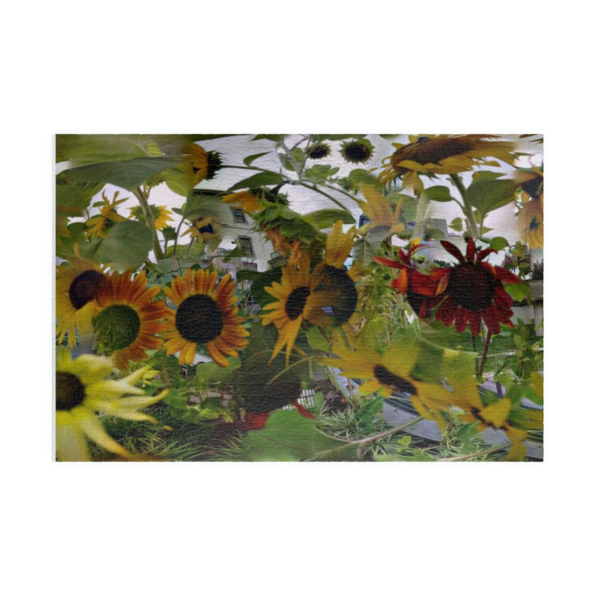 Sunflower Summer Jigsaw Puzzle (110, 252, 500, 1014-piece)