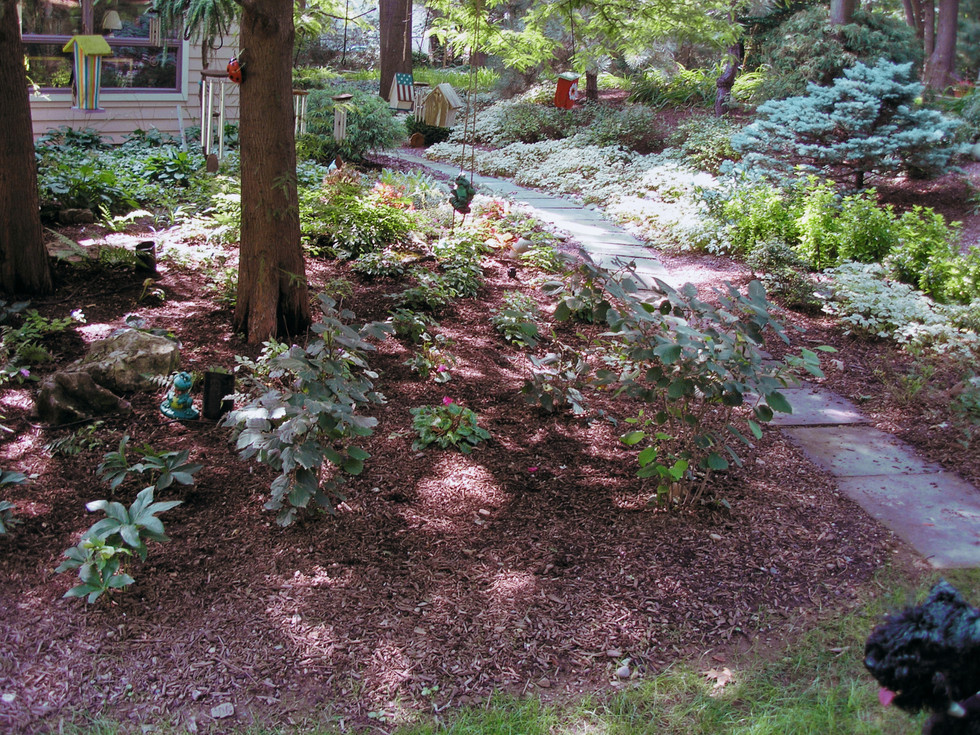 Landscaping Portfolio Camberly Gardens Landscaping Bergen County, NJ