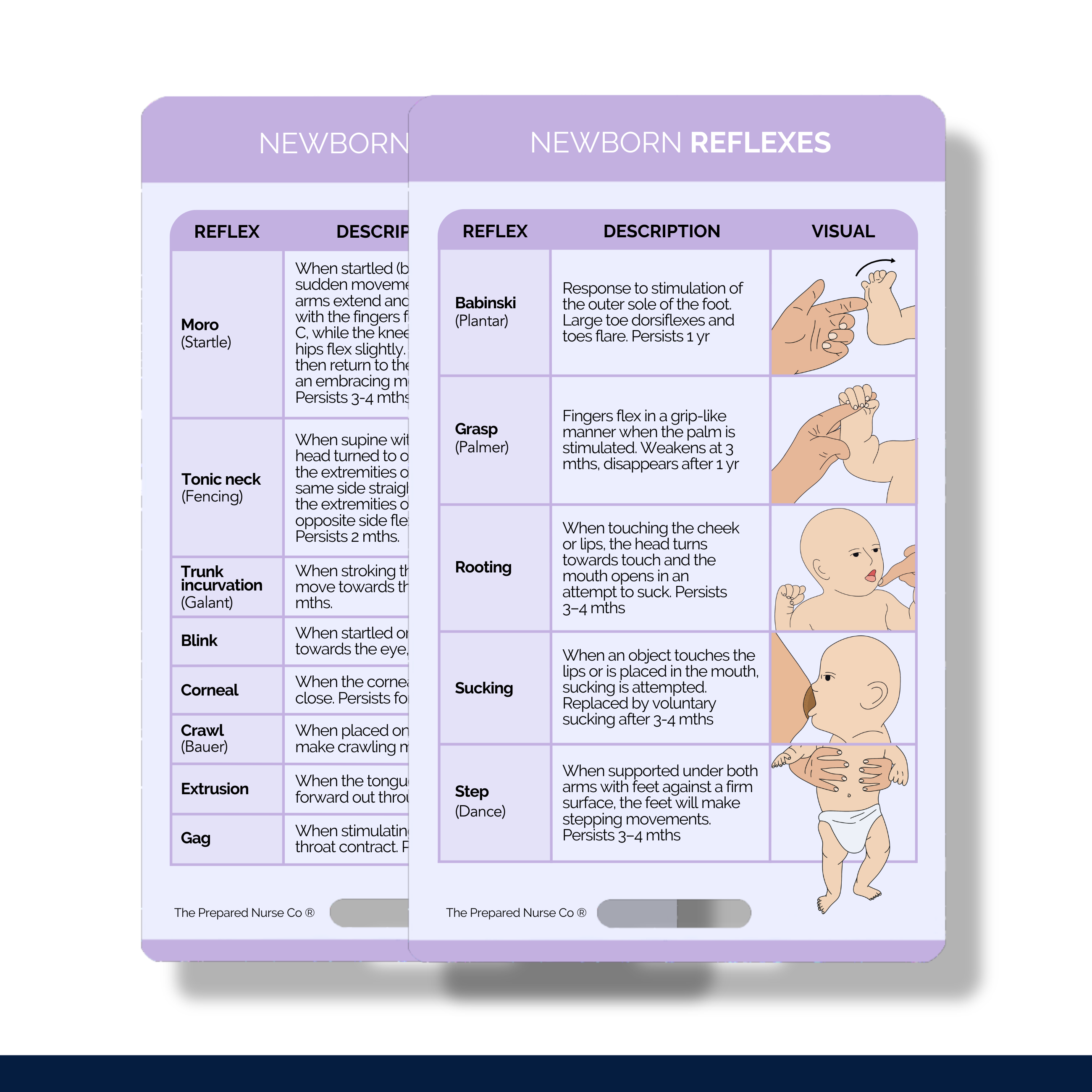 Newborn Reflexes