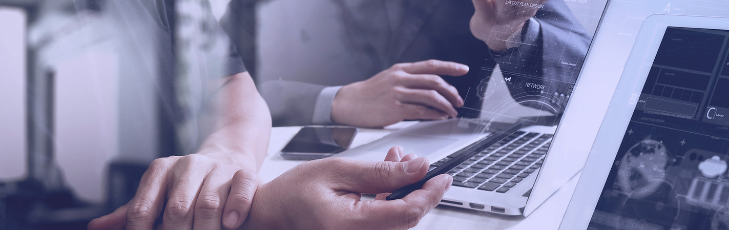 Consulta web