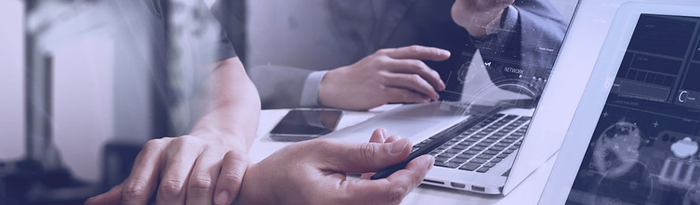 Consulta web