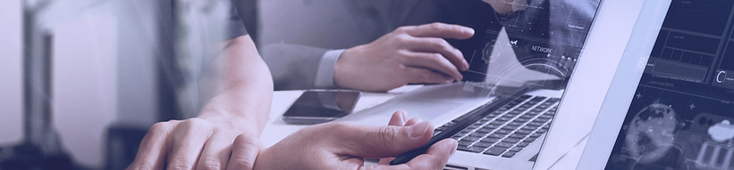 Consulta web
