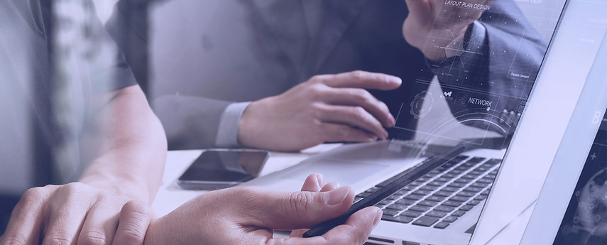 Web Consultation