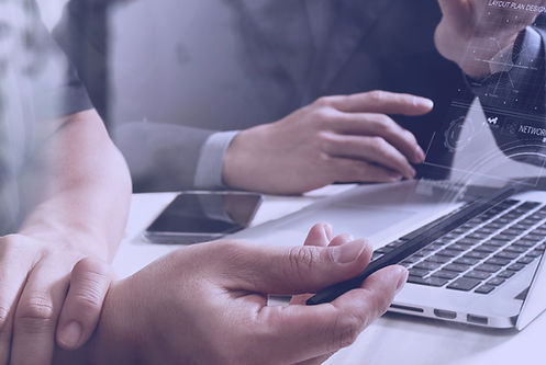 Web Consultation