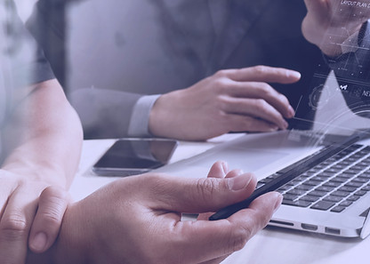 Web Consultation
