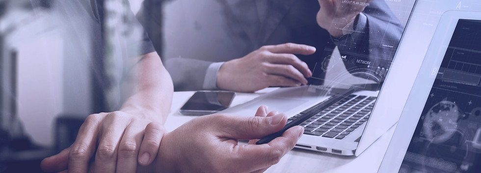 Consulta web