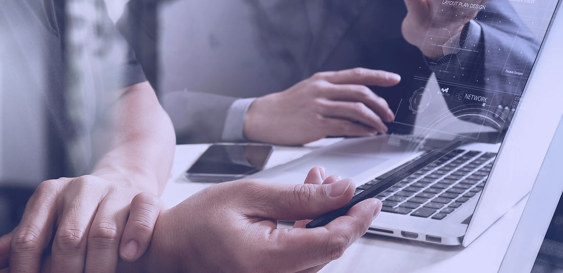 Web Consultation