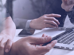 consultazione Web