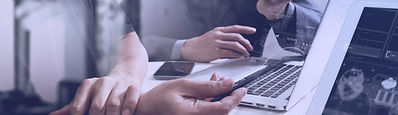 Web Consultation