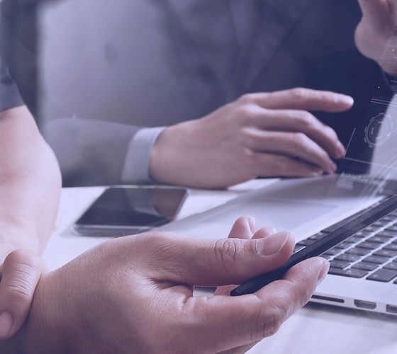 Web Consultation