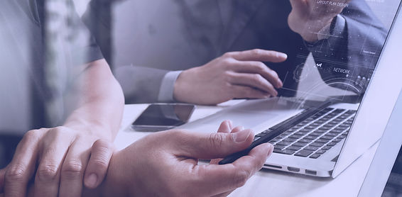 Web Consultation
