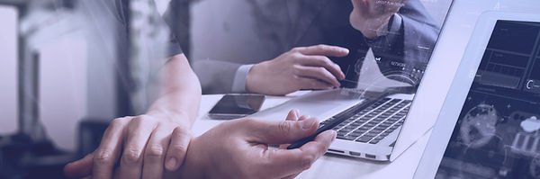 Web Consultation and Development