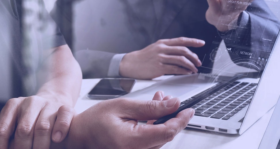 Web Consultation