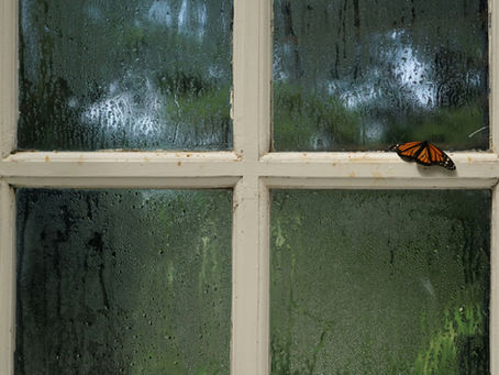 humidité sur la fenêtre