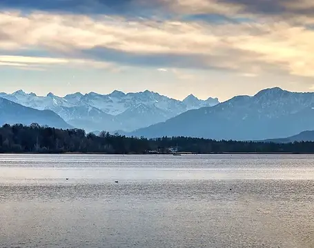 umzugsunternehmen-starnberg-optimus-umzug.webp